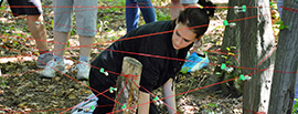 Sport teambuilding programs